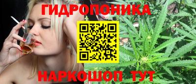 spice Краснокаменск