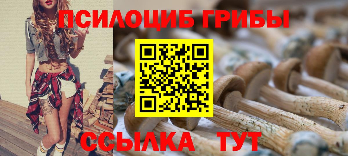 Псилоцибиновые грибы GOLDEN TEACHER Заводоуковск