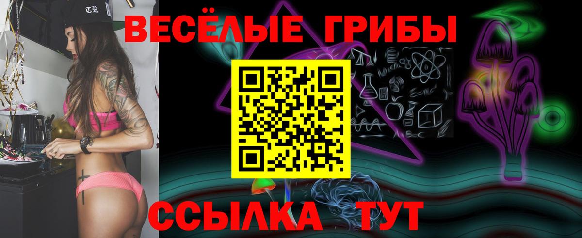 Псилоцибиновые грибы мицелий  Вход с VPN  Псилоцибиновые грибы мухоморы  купить   Заводоуковск 